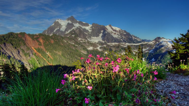 A view of the North Cascades National Park. Pic: US National Park Service/AP