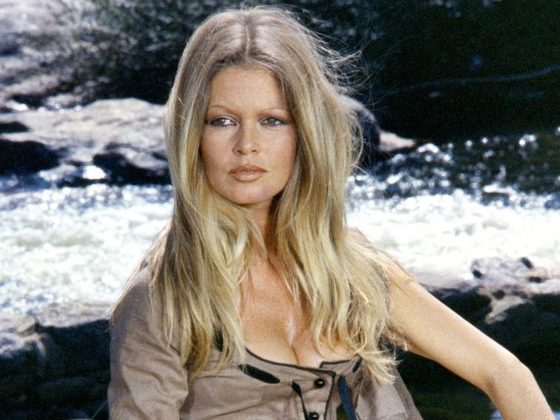 French actress Brigitte Bardot, who shot to international fame with the 1956 film And God Created Woman, has died, aged 91.