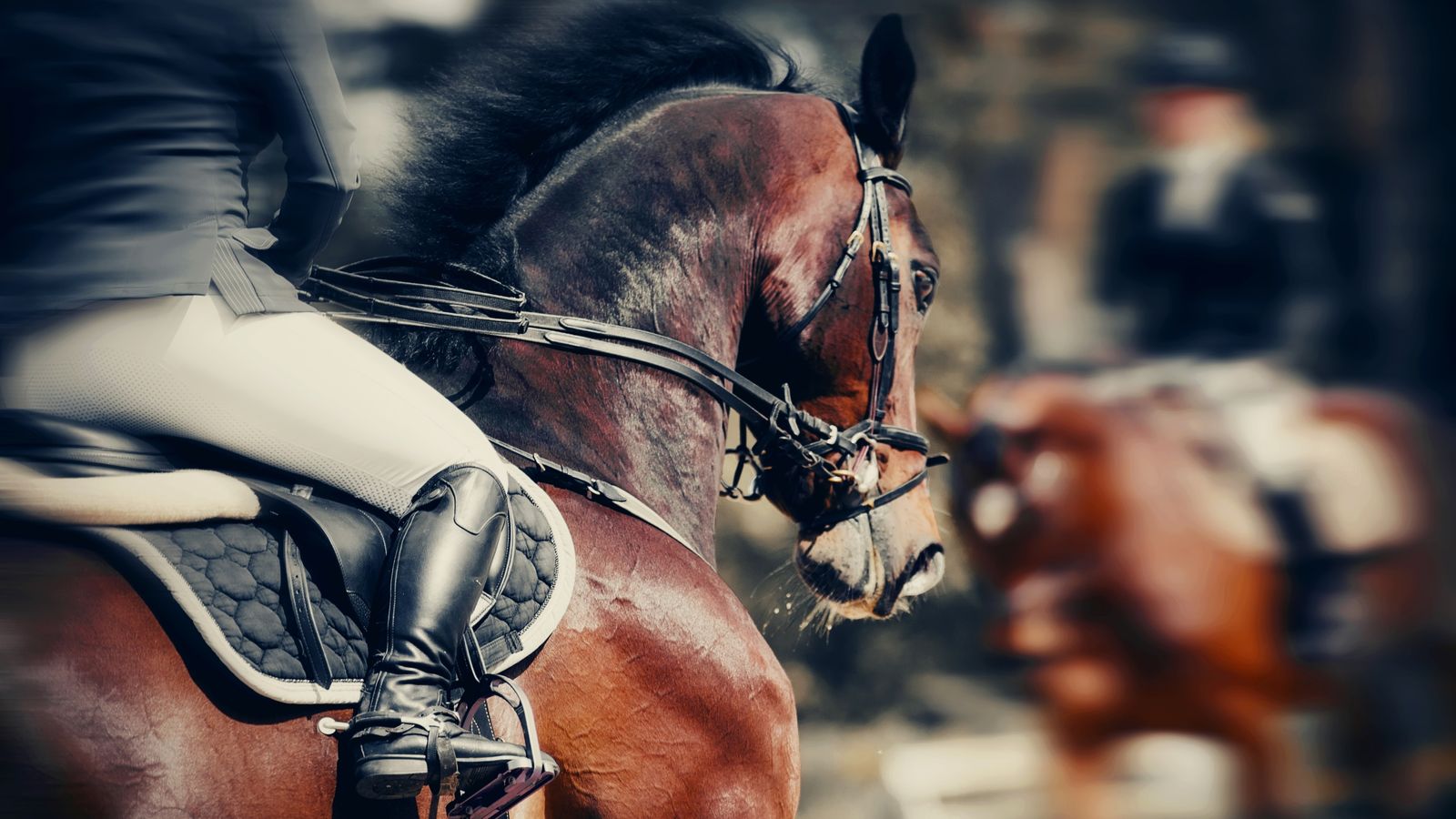 CVC-backed Global Sport Group adds to stable with 0m Equine Network deal