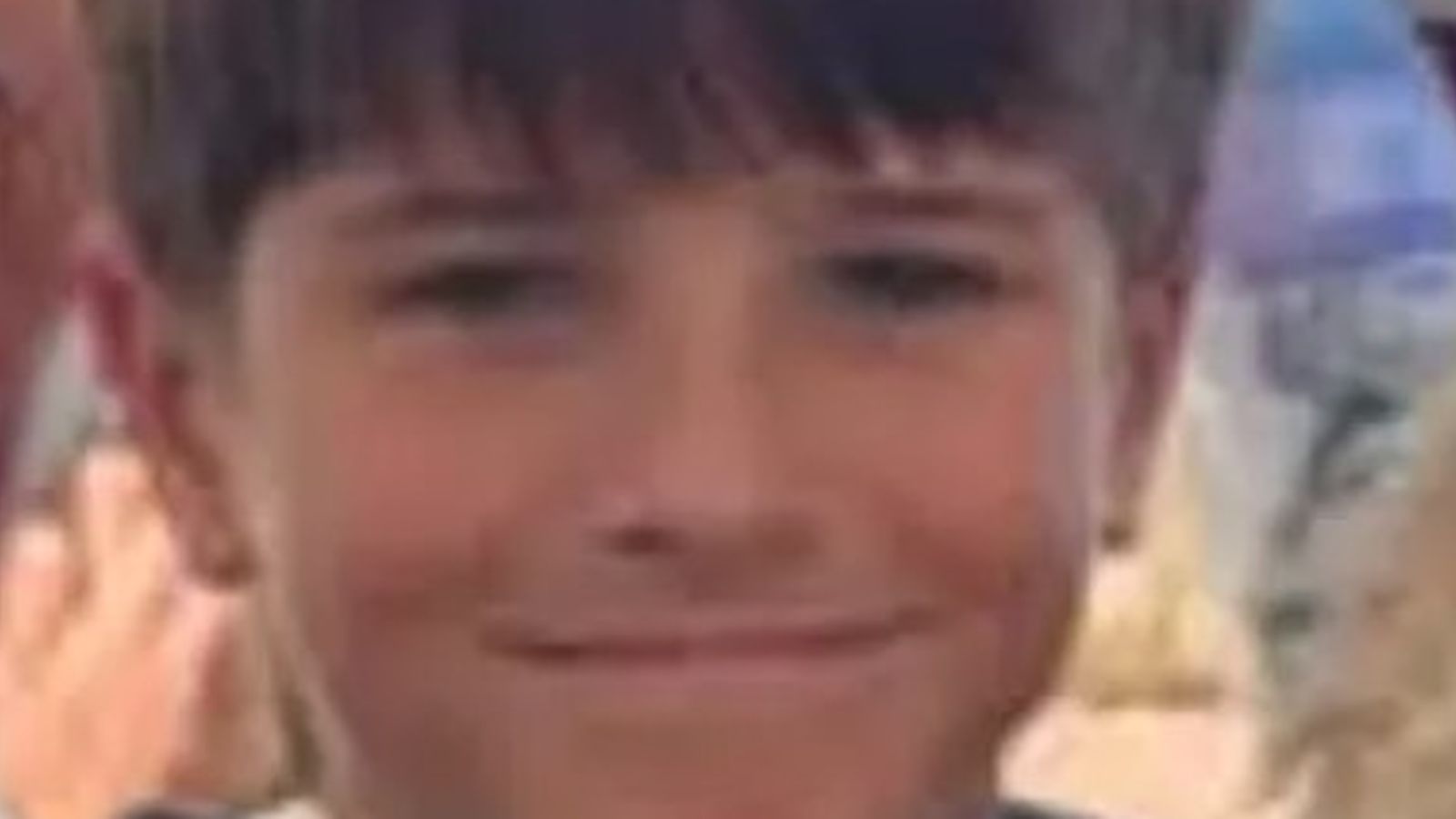 Jongen, 12, sterft na haaienaanval in de haven van Sydney | Wereldnieuws