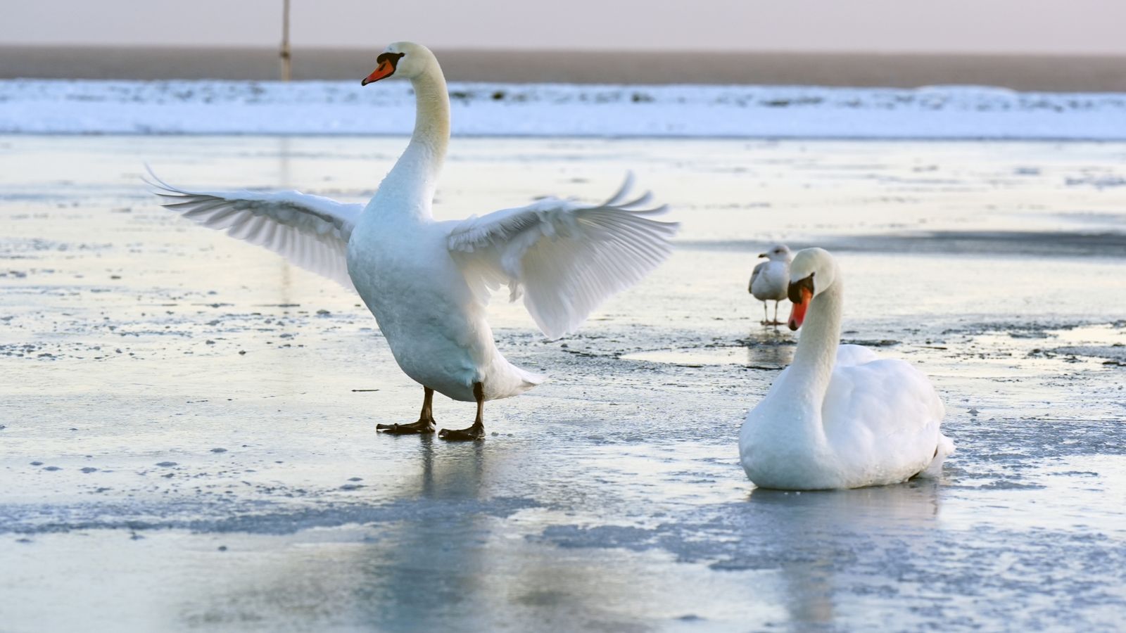 More snow warnings issued as cold snap continues
