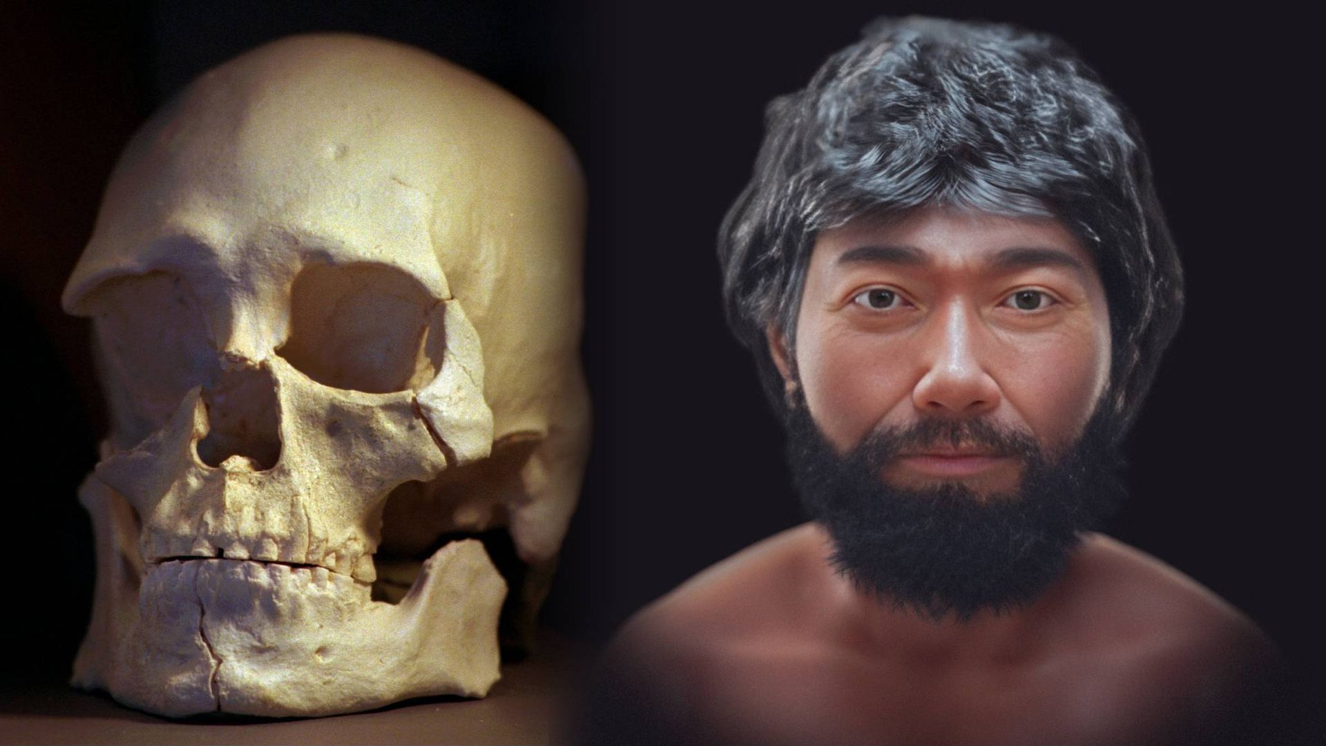 Meet the Kennewick Man: Face of ‘most important’ ancient American revealed after 8,500 years