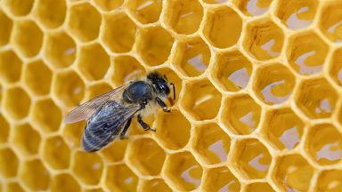 Photo: iStock