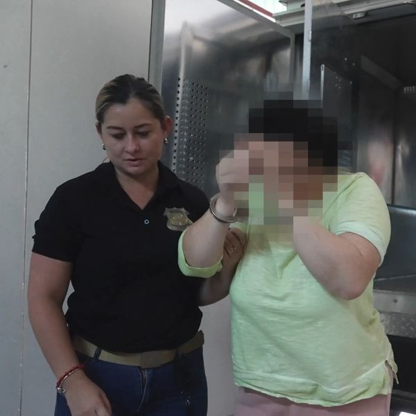 Interpol'ün Kosta Rika'daki Liberterra III Operasyonuna katılan polis bir kişiyi tutukladı.