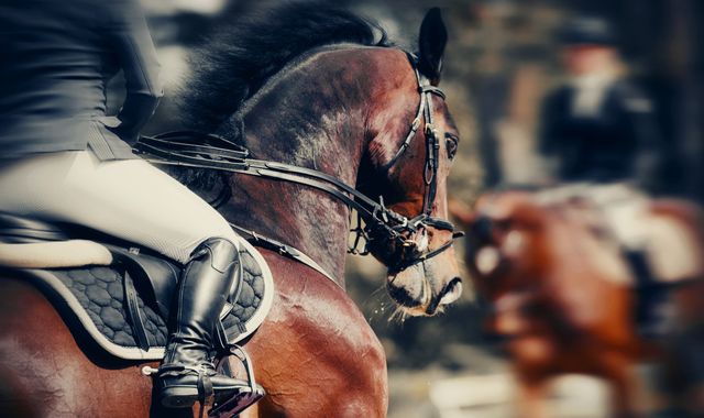 CVC-backed Global Sport Group adds to stable with $300m Equine Network deal