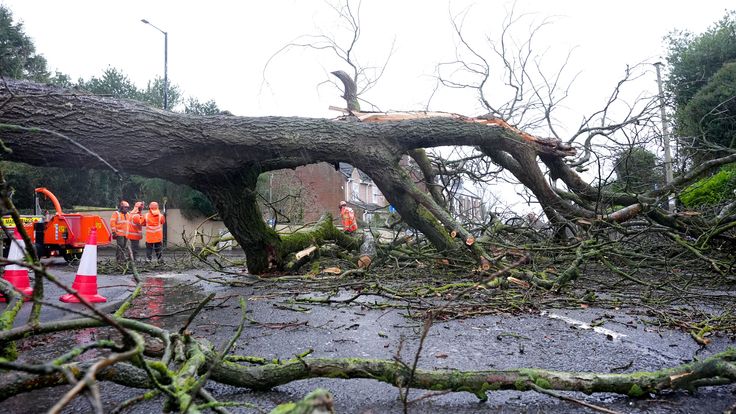 A fallen tree blocks Hall Lane in Houghton-le-Spring in Durham. Pic: PA