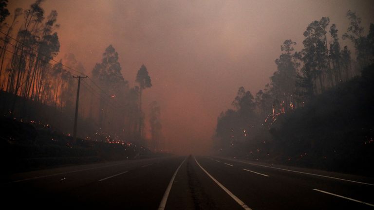 Smoke and flames during the wildfire in Bio Bio, Chile. Pic: Reuters