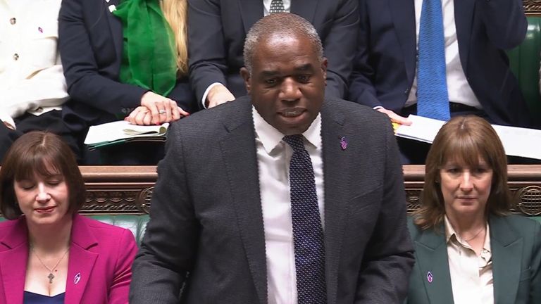David Lammy 