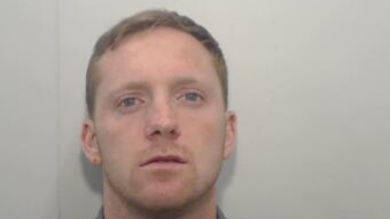 Calluma Doriana. Zdjęcie: Policja z Greater Manchester