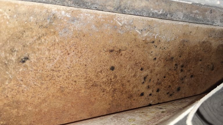 Mould under the flooring. Pic: Jane Wallbank