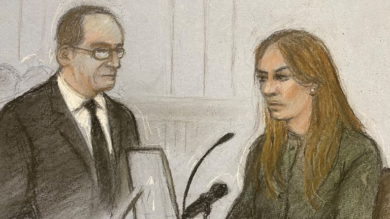 Antony White KC questioning an emotional Hurley during her evidence at the High Court. Sketch: Elizabeth Cook/ PA