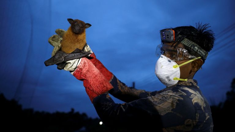Um assistente segura um bastão para pesquisa do vírus Nipah em Bangladesh. Foto: Reuters