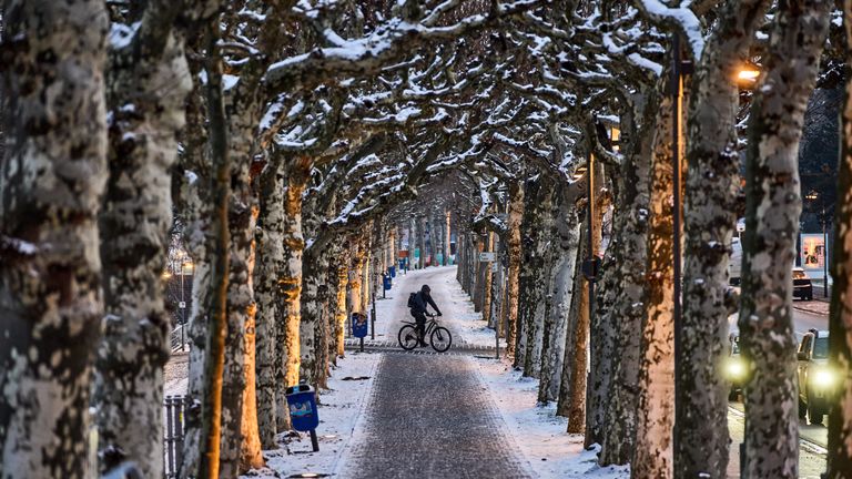 A man rides a bike in an alley in Frankfurt, Germany. (AP Photo/Michael Probst)