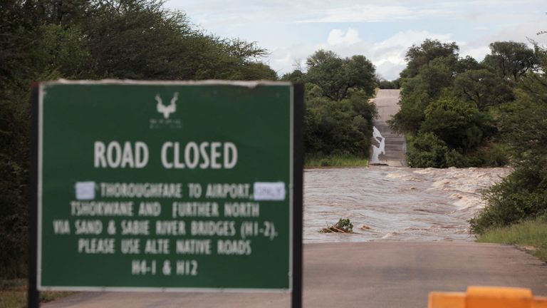 Park Narodowy Krugera w Mpumalanga w Republice Południowej Afryki. Fot: Reuters