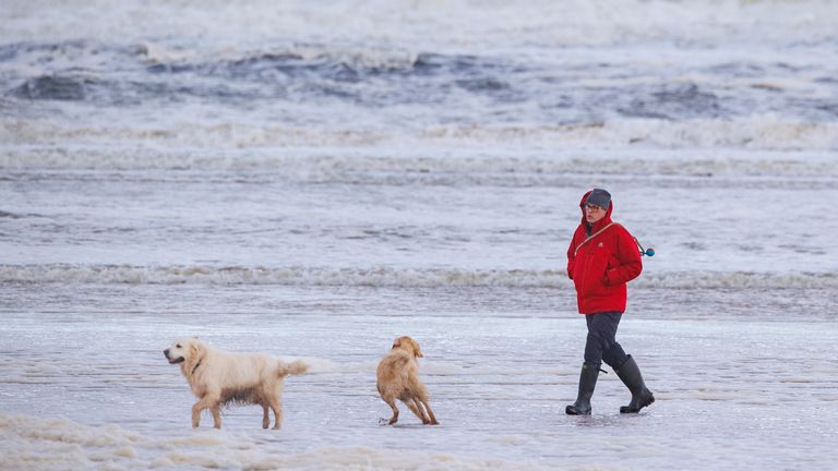 Coleraine'deki Castlerock Plajı boyunca köpeklerini gezdiren bir kişi. Resim: PA
