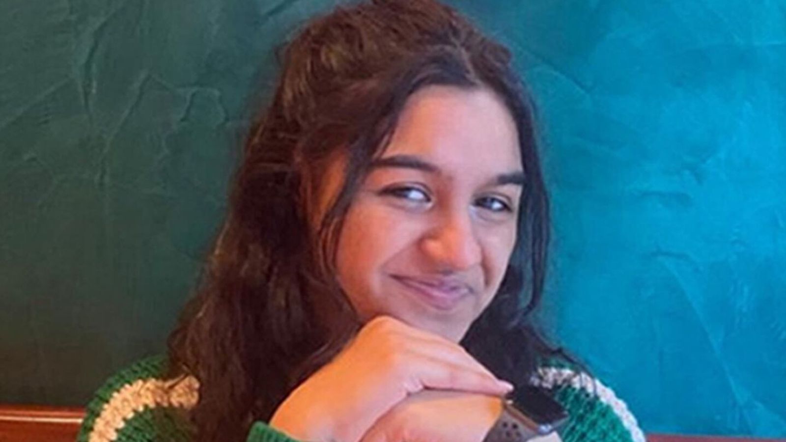Van driver jailed after killing London student | UK News | Sky News