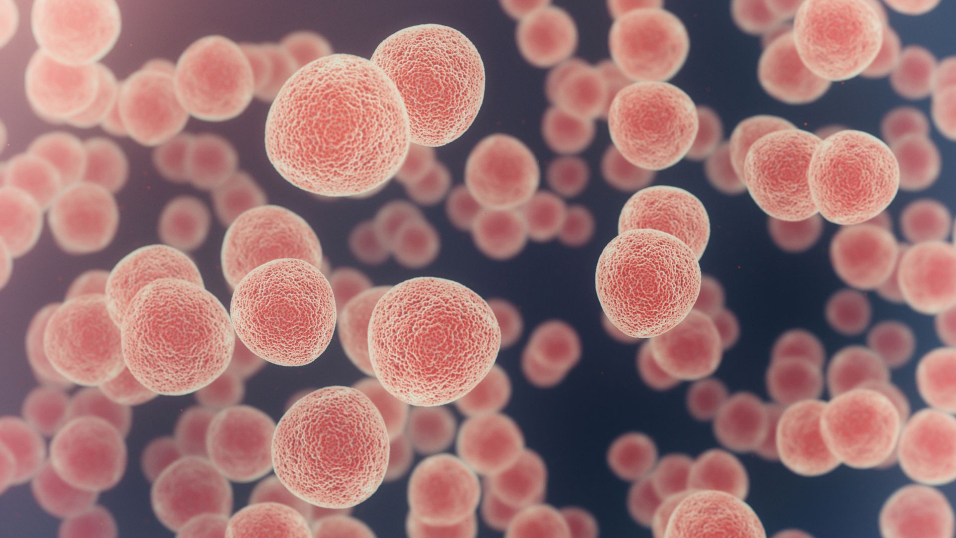 The UK's new cancer strategy is bold and ambitious - it can't afford to be anything else