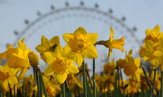 UK to be warmer than Malta and Barcelona as temperatures may hit 19C, say forecasters