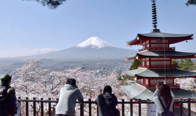 Japanese city cancels cherry blossom festival launched to lure tourists - as it's too successful