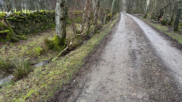 Ciało Briana Lowa odnaleziono w Leafy Lane. Zdjęcie: Sky News