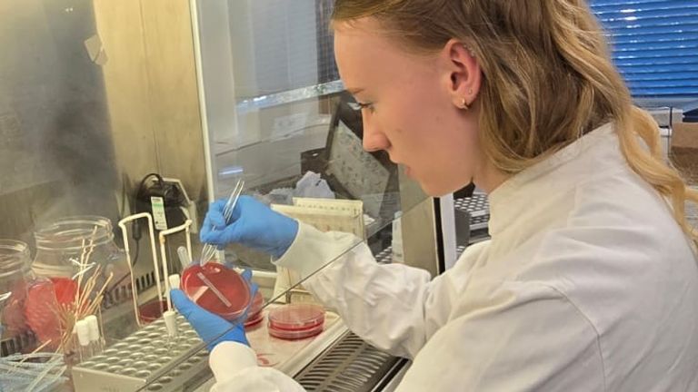 UKHSA scientists have been examining the spike in cases. Pic: UKHSA
