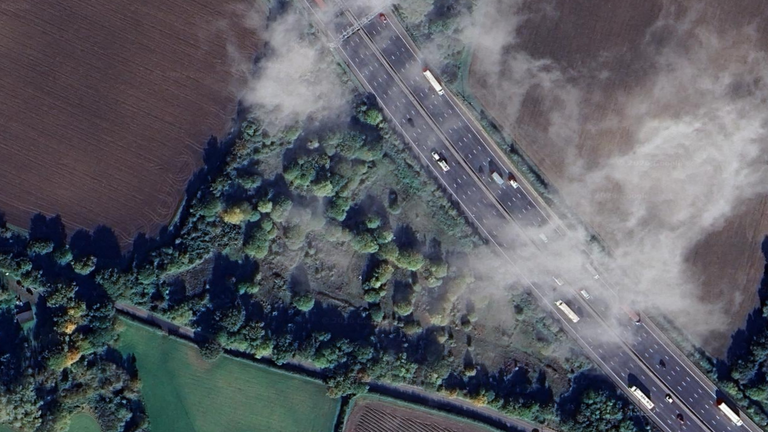 The site when it was green and full of trees in October 2024