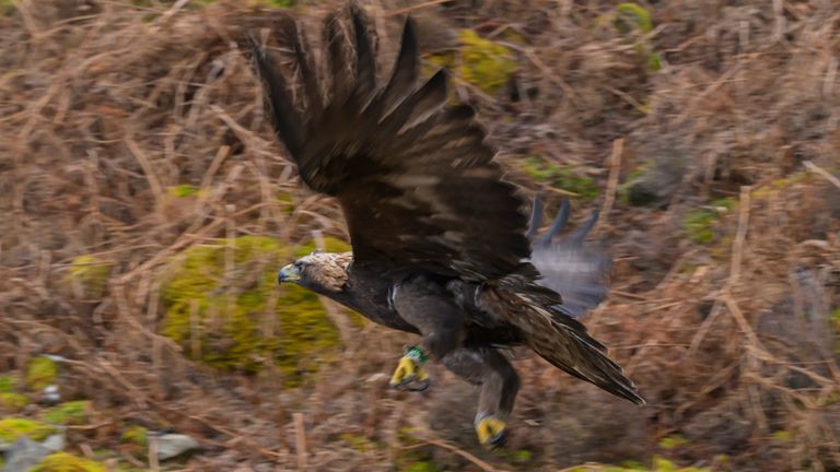 Pic: RUN/Phil Wilkinson