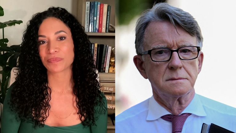 Lisa Phillips, an Epstein survivor and former friend of Epstein, Peter Mandelson