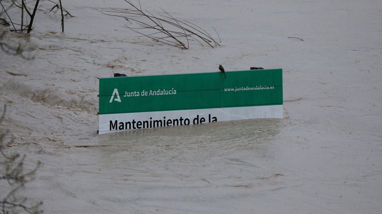 A flooded information panel of the local government near the Roman bridge in Cordoba, Spain. Pic: Reuters