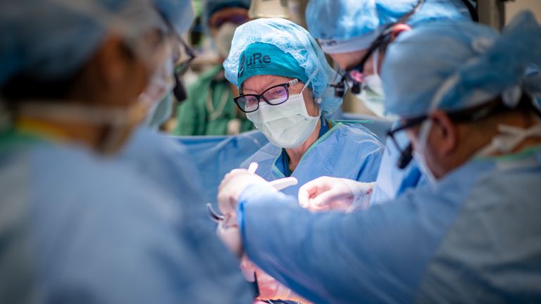 The trials were led by Dr Diana Farmer