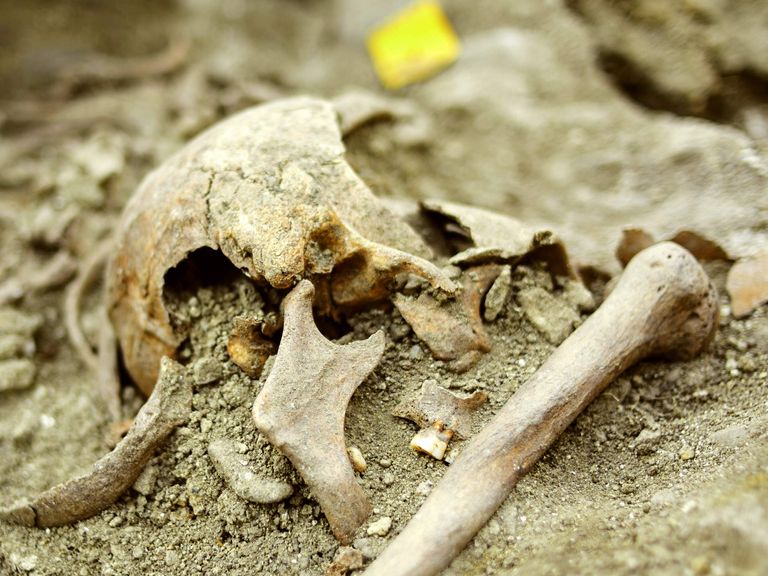 Foto toont de schedel van de 'vampier' in situ. Foto: Natasa Sarkic