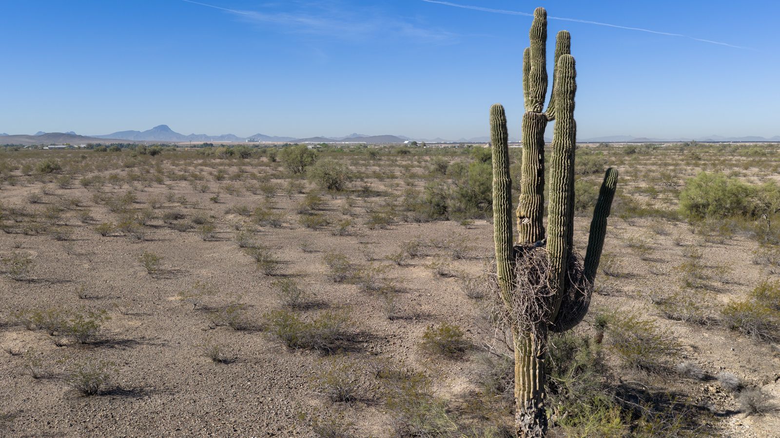 US suffers hottest March day ever recorded as heat dome drives up temperatures