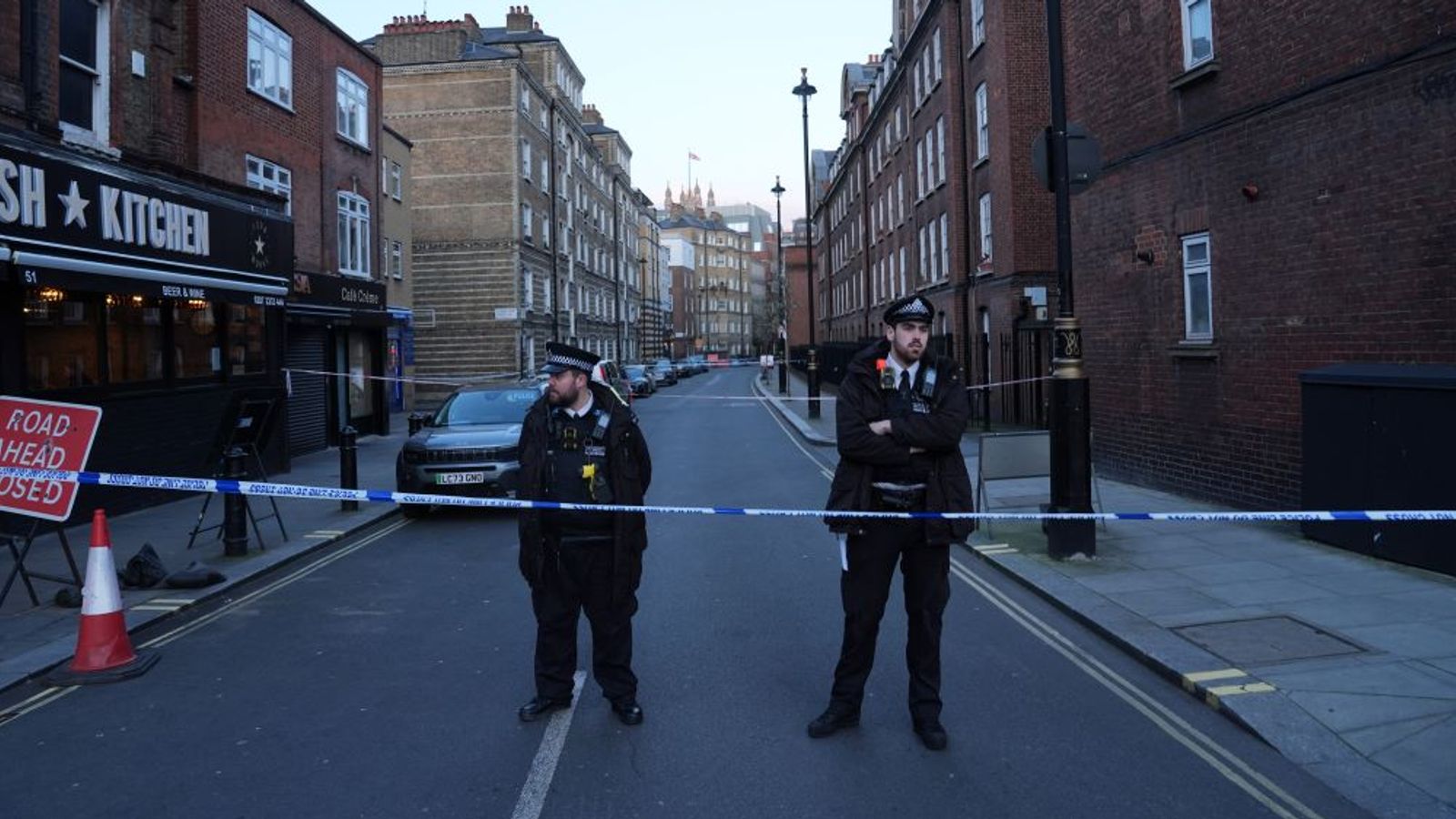 Murder arrest after newborn baby dies in fall in central London