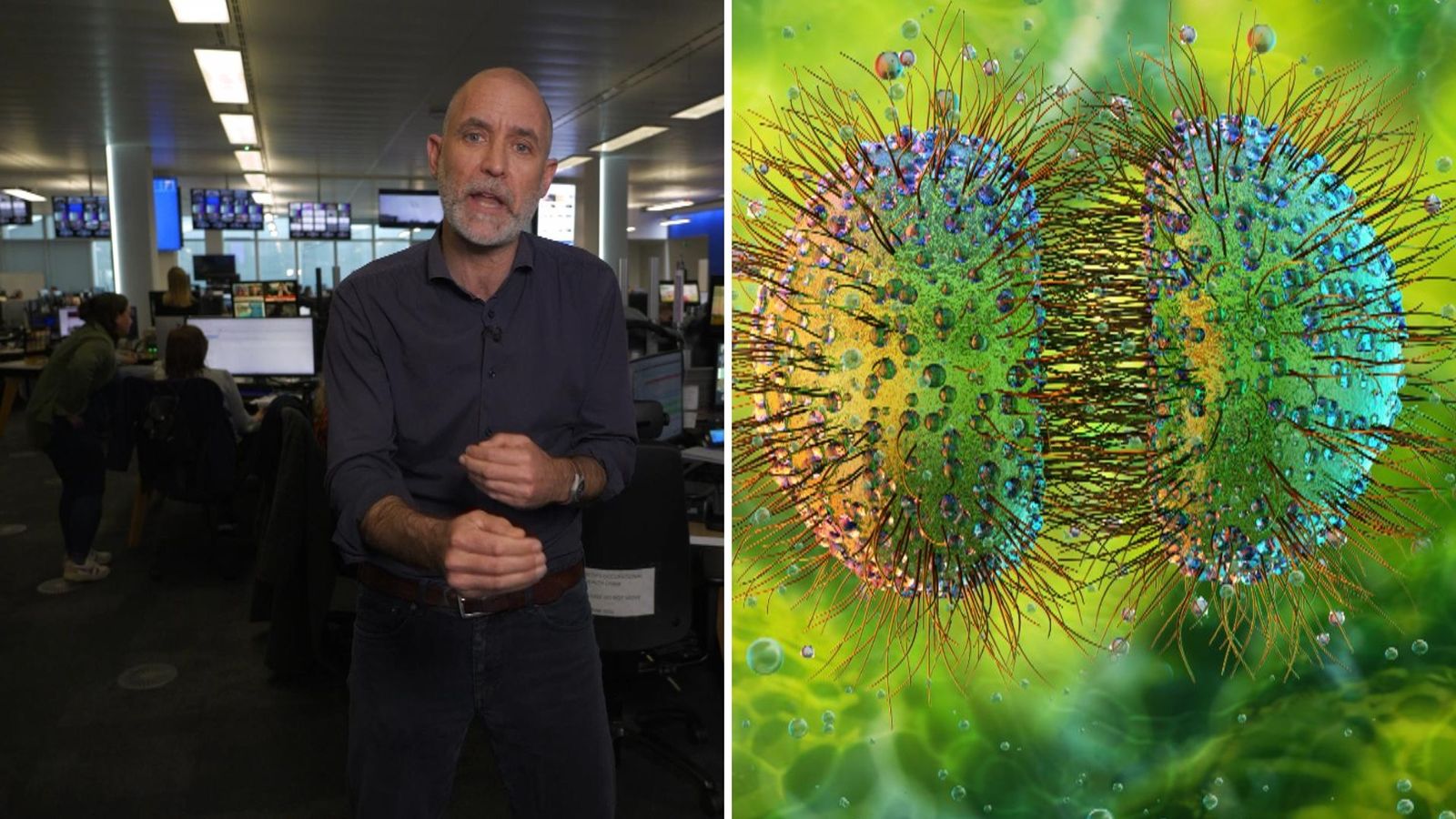 Is this meningitis mutation key to the outbreak?