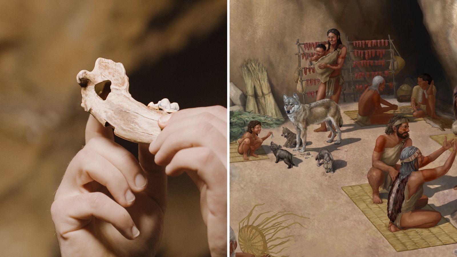 The prehistoric science behind man's best friend