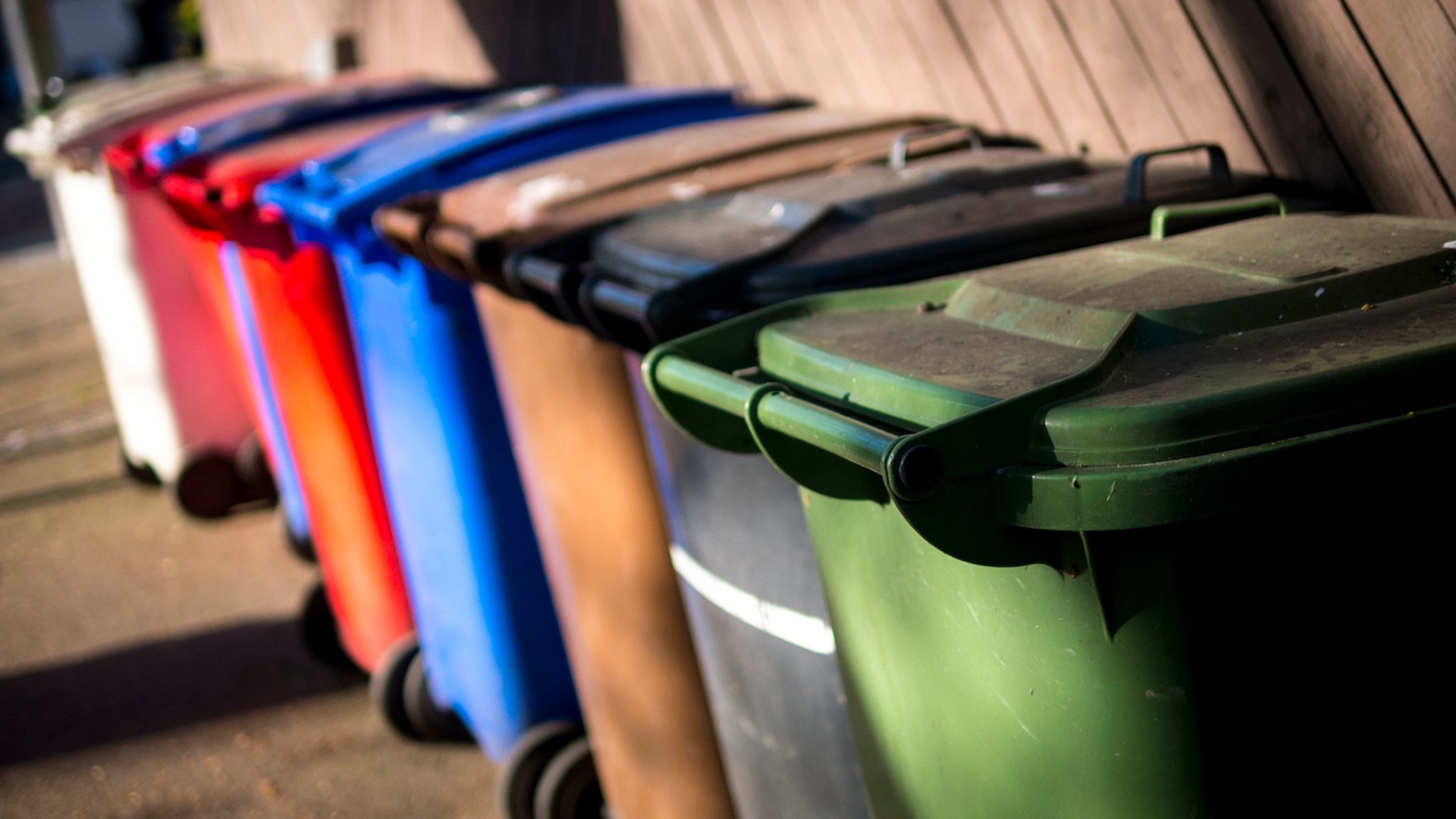 What you need to know ahead of bin changes this month | Money News ...