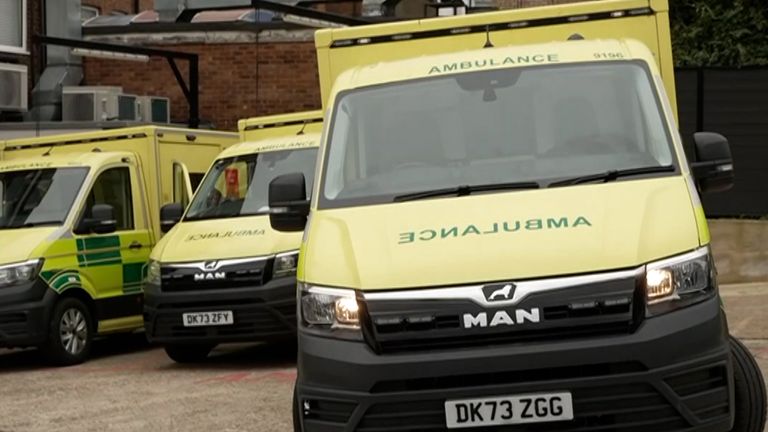 İmha edilenlerin yerine ambulanslar Golders Green'e geldi