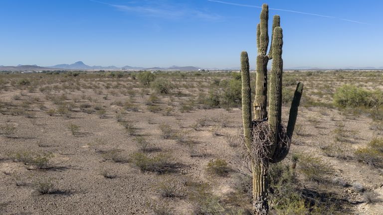US Records Hottest March Day Ever as Heat Dome Intensifies Southwest