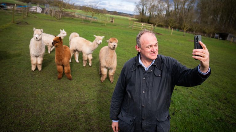 Liberal Democrat Leader Sir Ed Davey posing with alpacas in York. Pic: PA