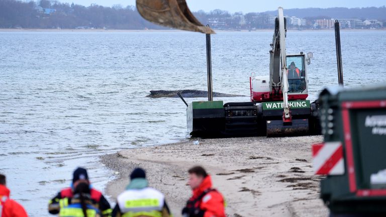 Helpers gather on the Timmendorfer Strand beach in northern Germany. Pic: AP