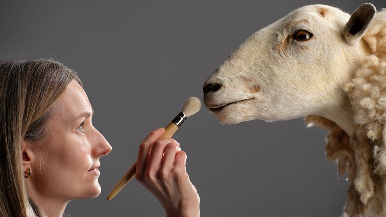 Pic: National Museums Scotland/PA