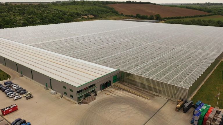 Valley Grown Fidanlıklarının gaz faturası bir ayda neredeyse iki katına çıktı