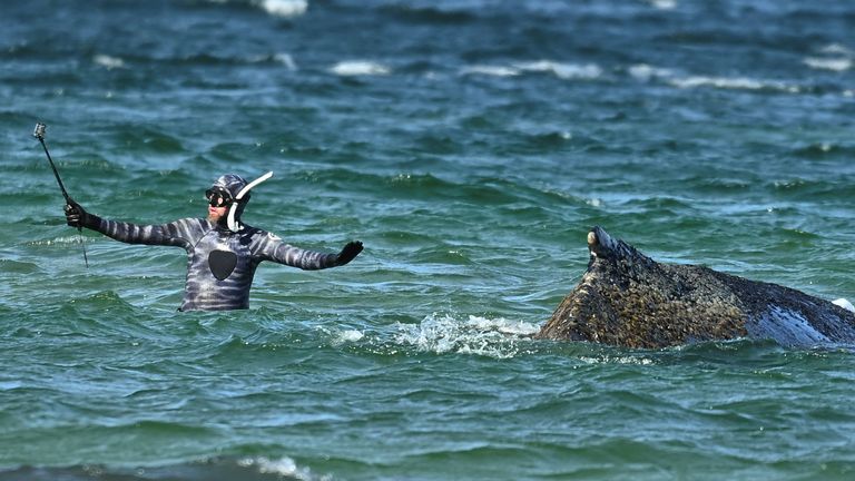 Animal rights activist Robert Marc Lehmann stands next to the whale. Pic: Reuters