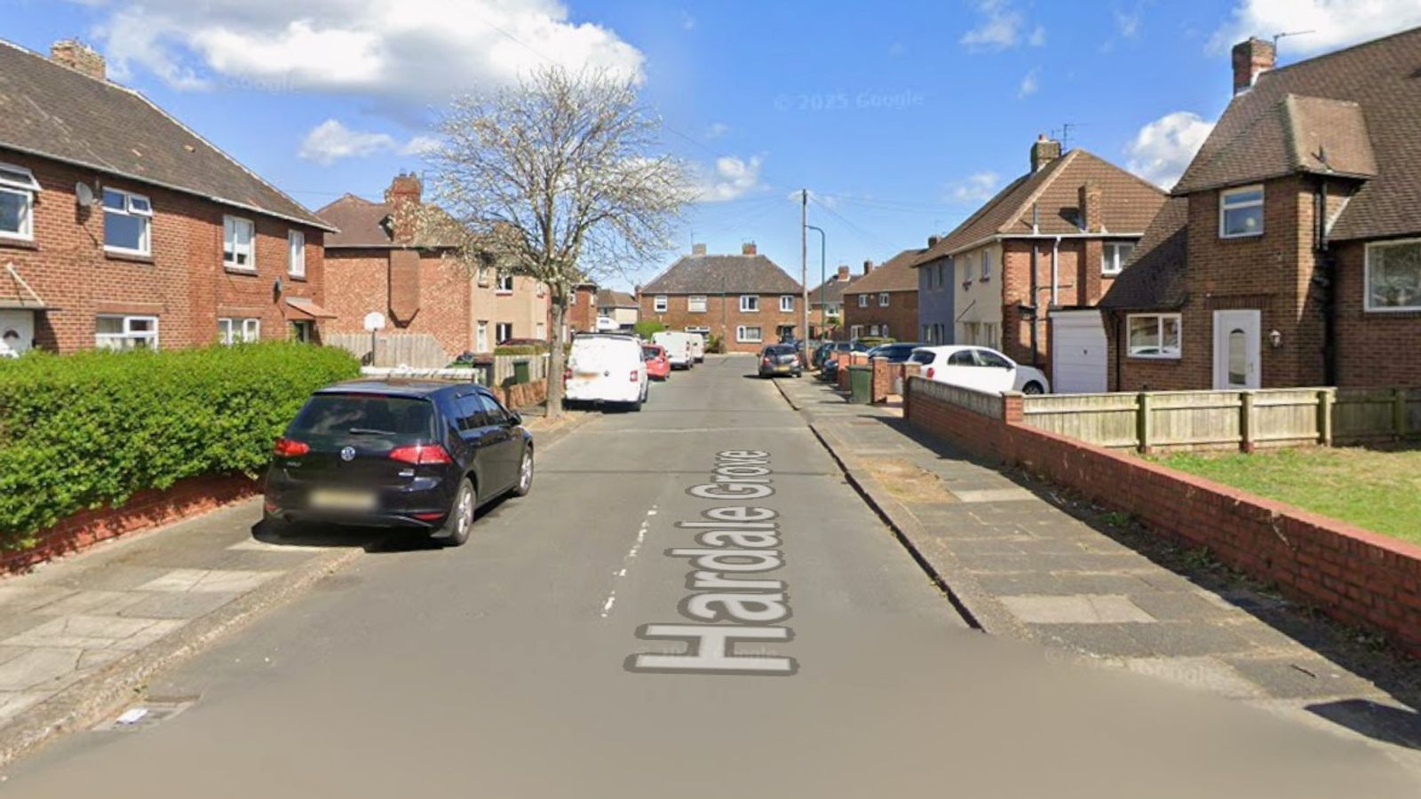 Child dies after suspected dog attack in Redcar, police say