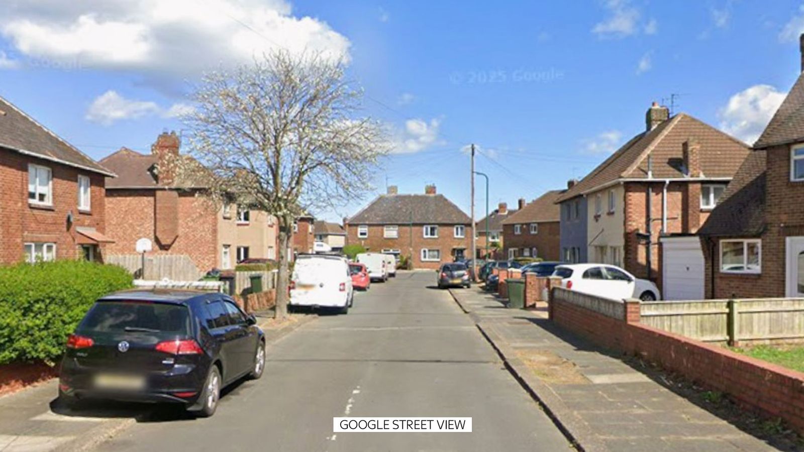 Three-month-old baby killed in suspected dog attack
