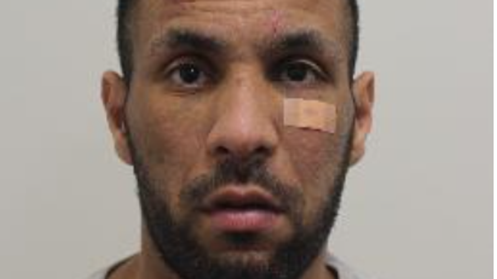 Man who stole handbag containing rare Faberge egg and watch worth £2m jailed