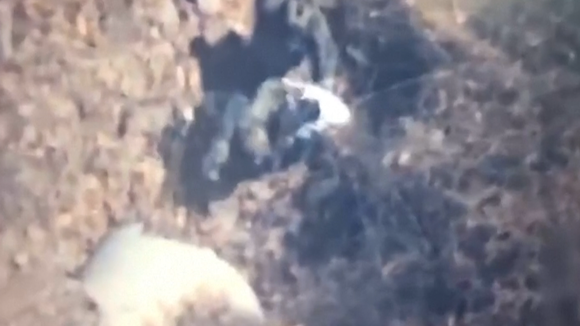 Kartel liderinin 'El Mencho'nun yerine geçeceği tahmin ediliyor