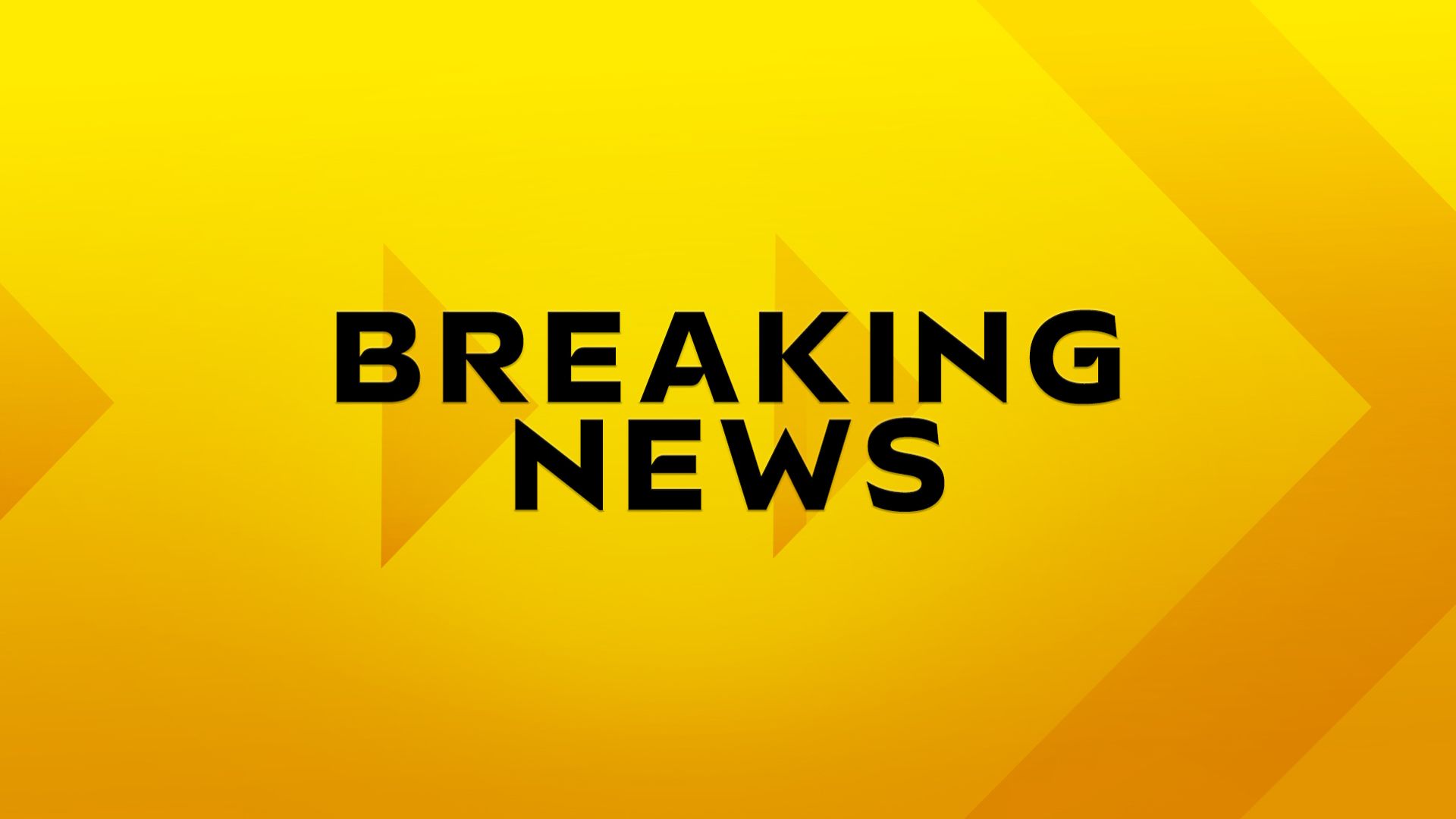 Flintoff steps down as England Lions head coach
