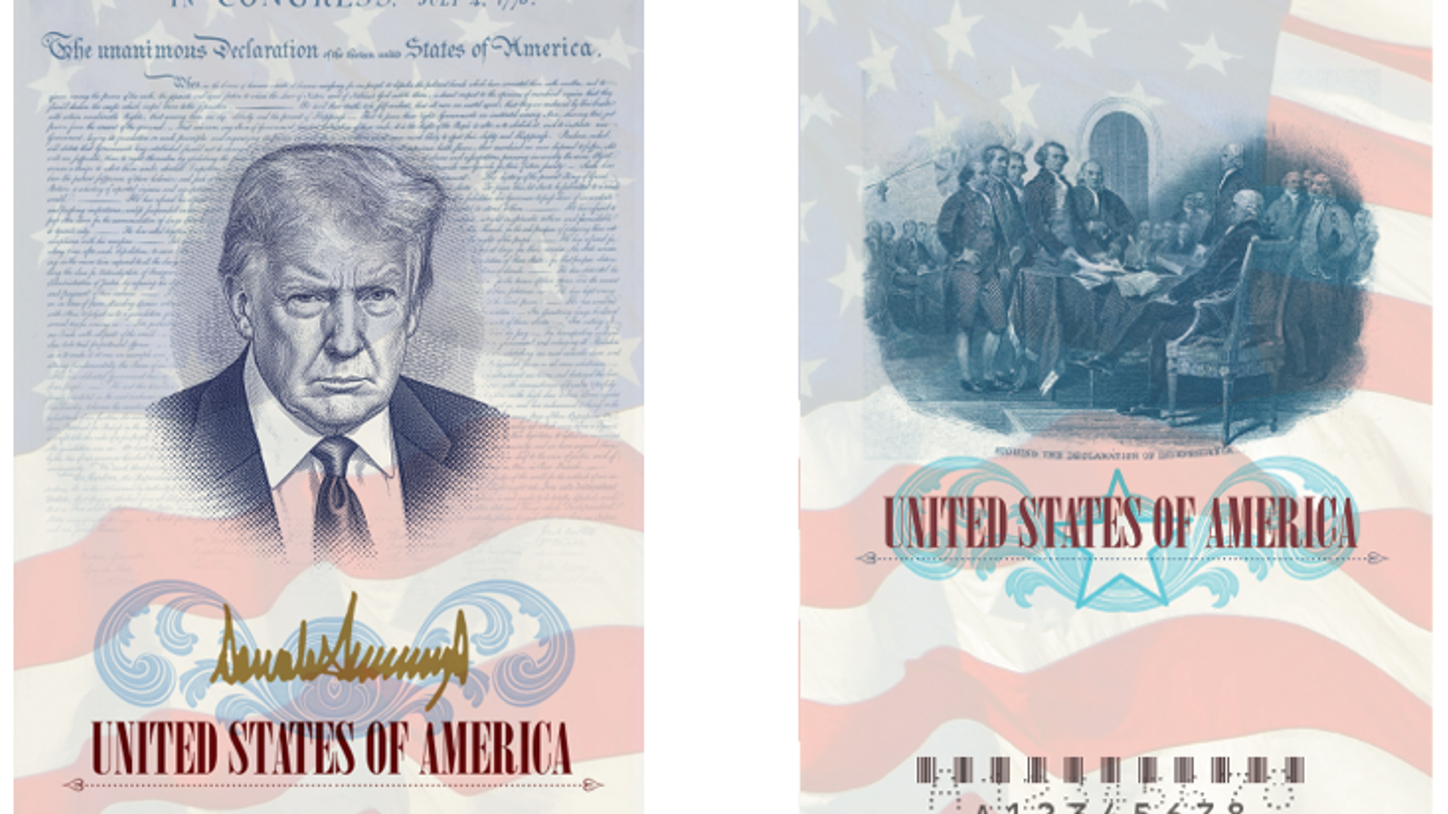 US to issue passports featuring Trump's image | US News | Sky News