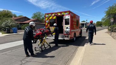 Pic: Phoenix Fire Department